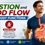 digestion and blood flow