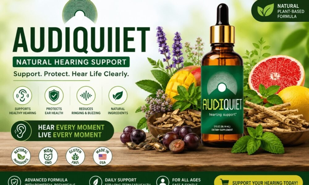 audiquiet product review image