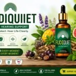 audiquiet product review image